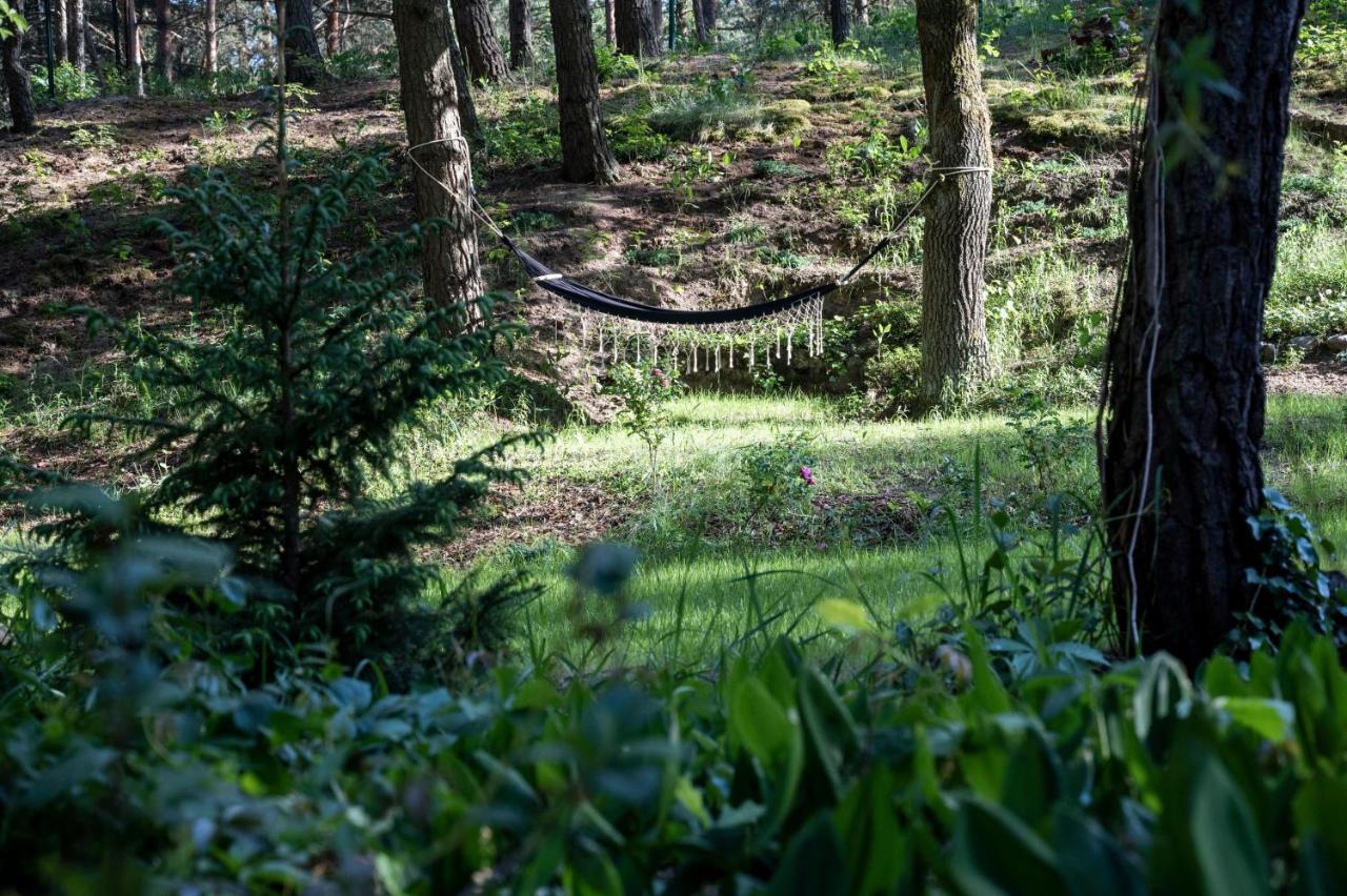 Uroczy Maly Domek Na Lesnej Dzialce - Losiowka Losie Экстерьер фото