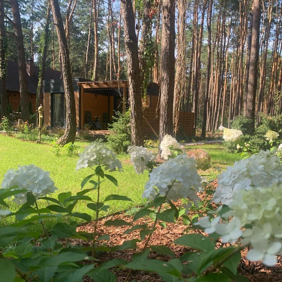 Uroczy Maly Domek Na Lesnej Dzialce - Losiowka Losie Экстерьер фото